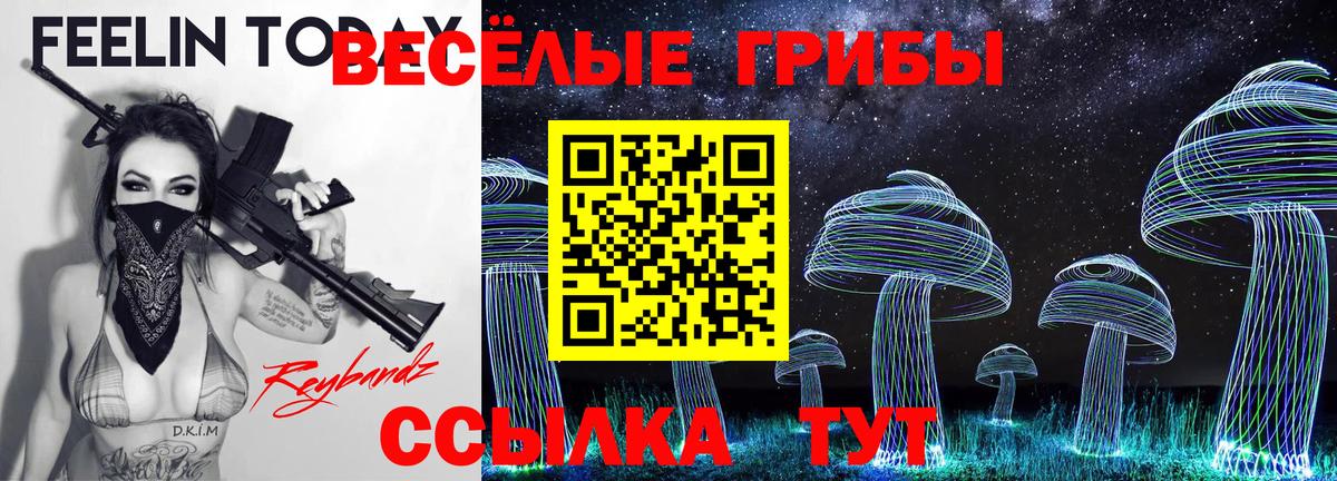 Галлюциногенные грибы Psilocybe Еманжелинск