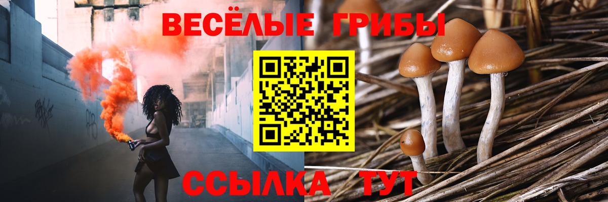 Еманжелинск  Галлюциногенные грибы мицелий  Вход с VPN  Галлюциногенные грибы мухоморы 